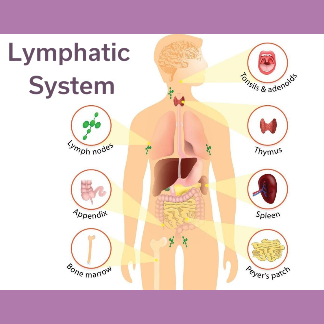 The #1 Lymphatic Drainage Center in Philadelphia: Why We're